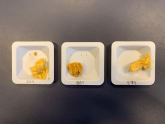 Tasting the three misos side by side. The space miso is labelled _861_