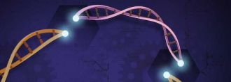 CRISPR.jpg