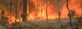 Fire.jpg