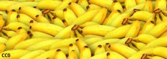 banana.jpg