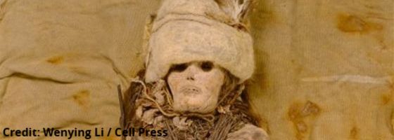 Credit: Wenying Li / Cell Press