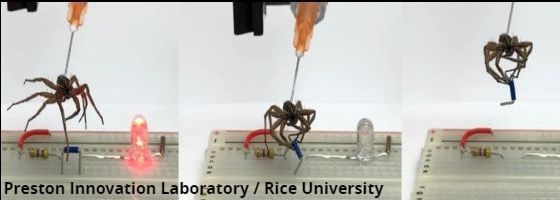 Preston innovation Laboratory / Rice University