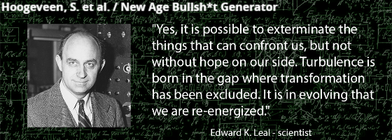 Hoogenveen, S. et al. / New Age Bullsh*t Generator