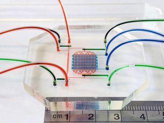 The microfluidic device 