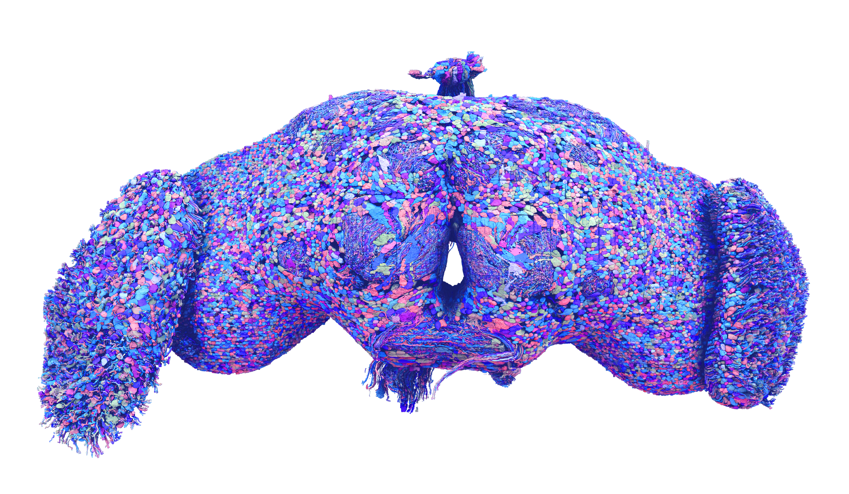 Tyler Sloan for FlyWire, Princeton University, (Dorkenwald et al., Nature, 2024)