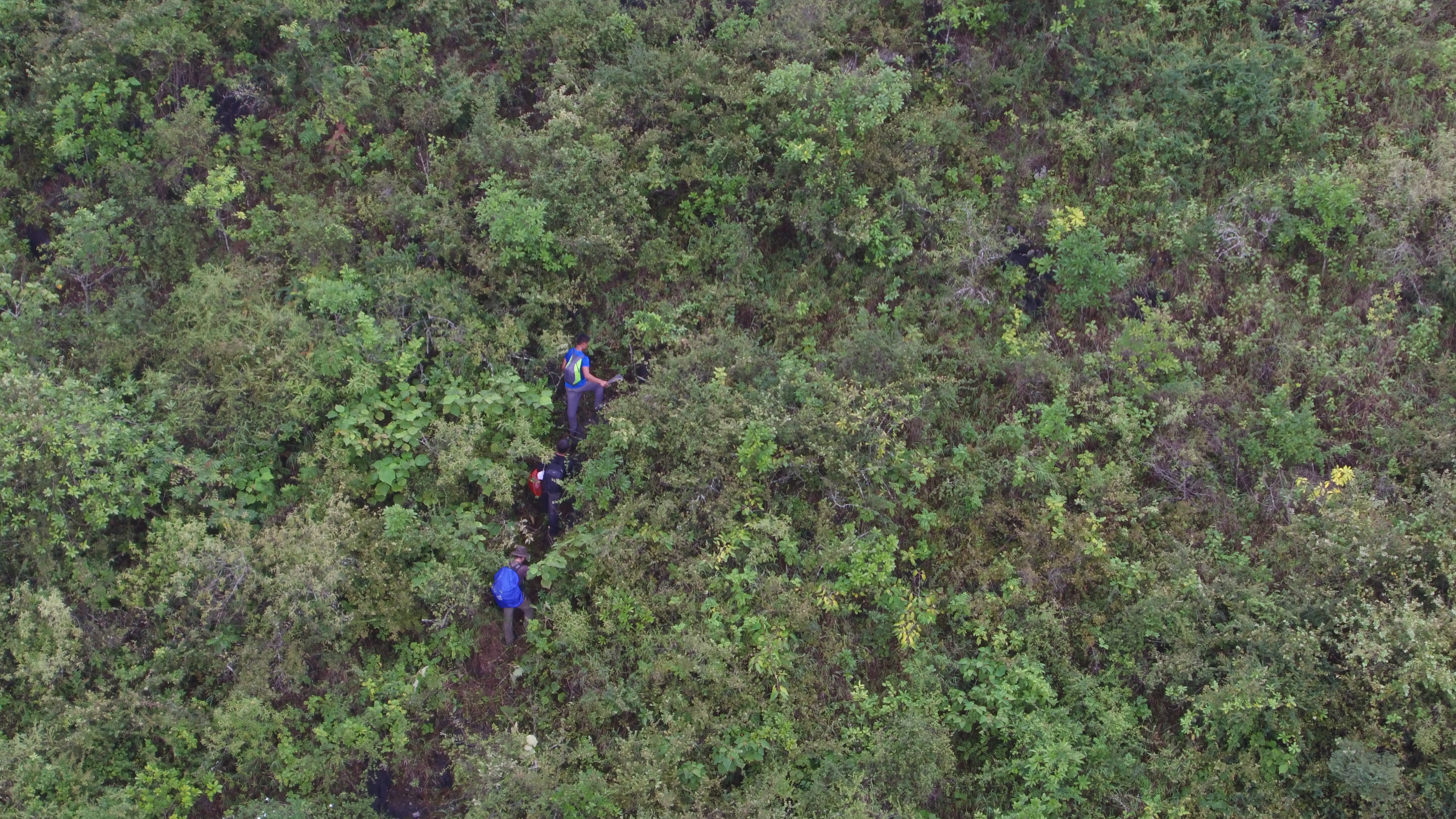 Climbing up the steep karst mountains to the G. blacki caves - Credit Professor Yingqi Zhang (IVPP- CAS)  CC BY-NC-ND
