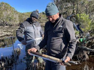 Matthew Adeleye (L) and David Bowman (R) in Emerald swamp, Three Hummock Island