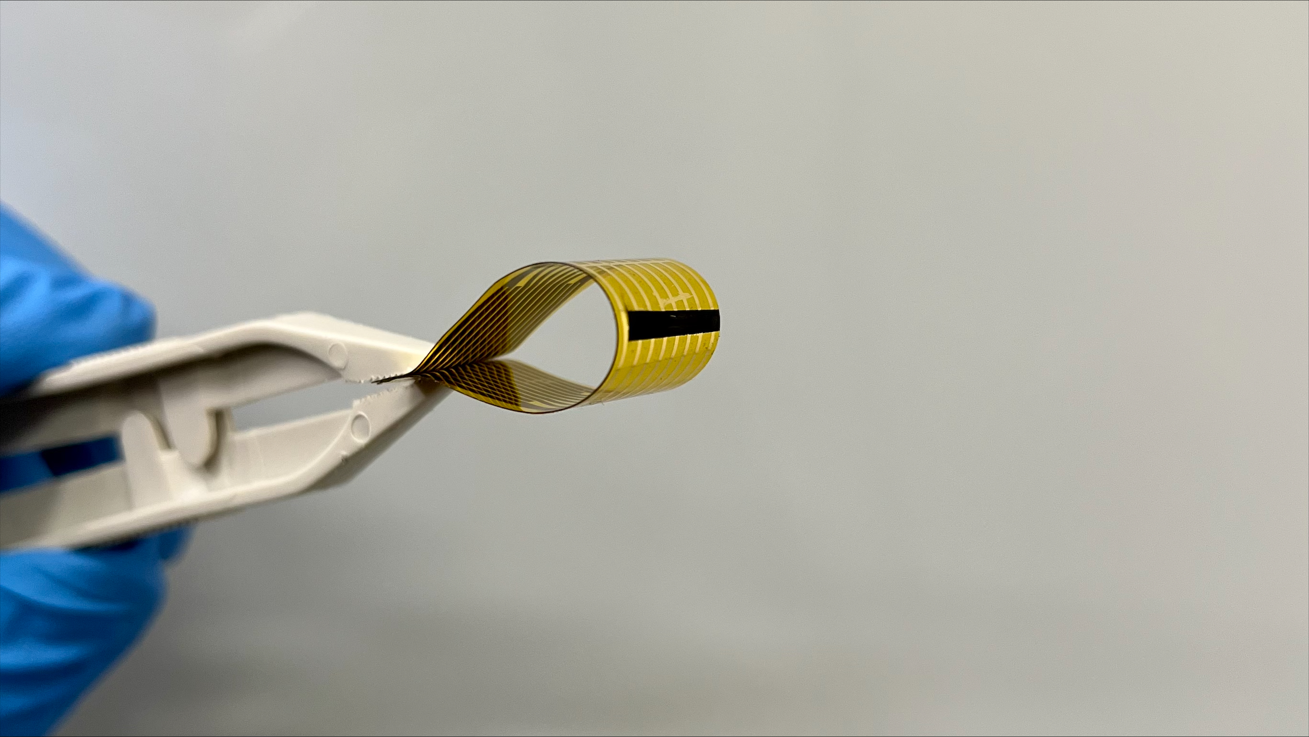 TMOS, the ARC Centre of Excellence for Transformative Meta-Optical Systems