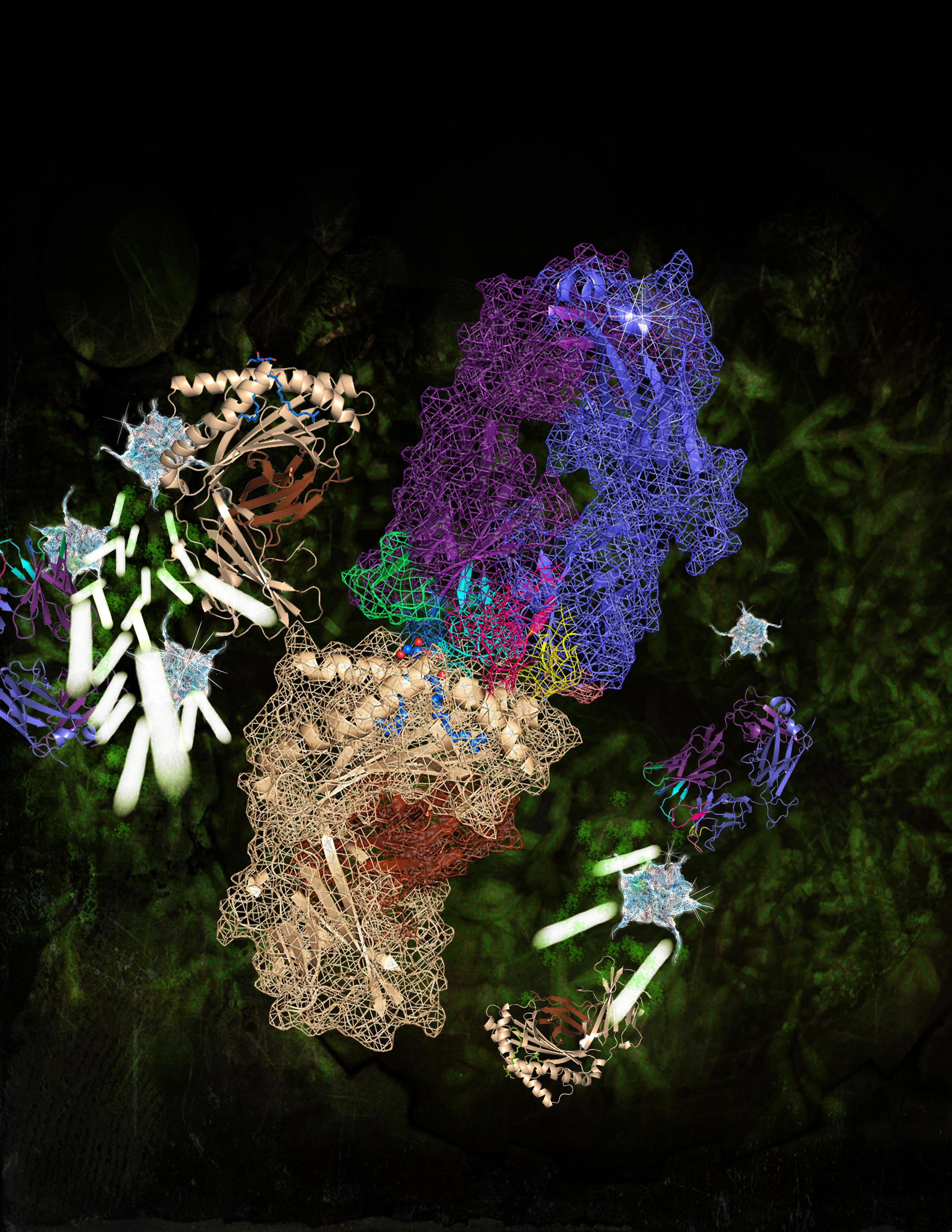 Artist's interpretation of the interplay between diet, the microbiota and immune cell receptors. (C) Erica Tandori