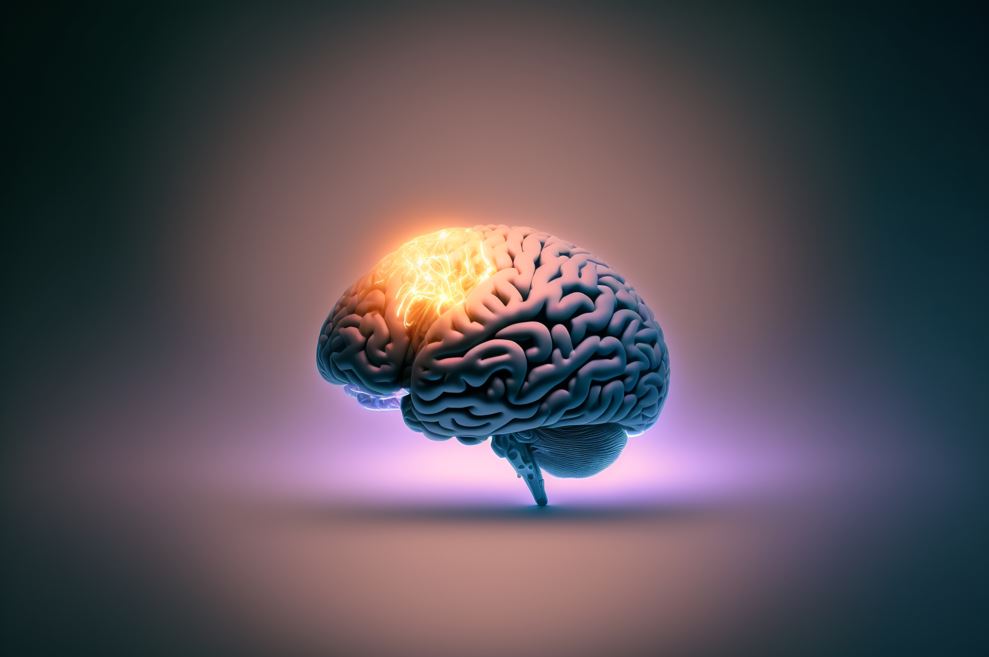 CC-0. https://stocksnap.io/photo/idea-brain-5NLKT00MVB