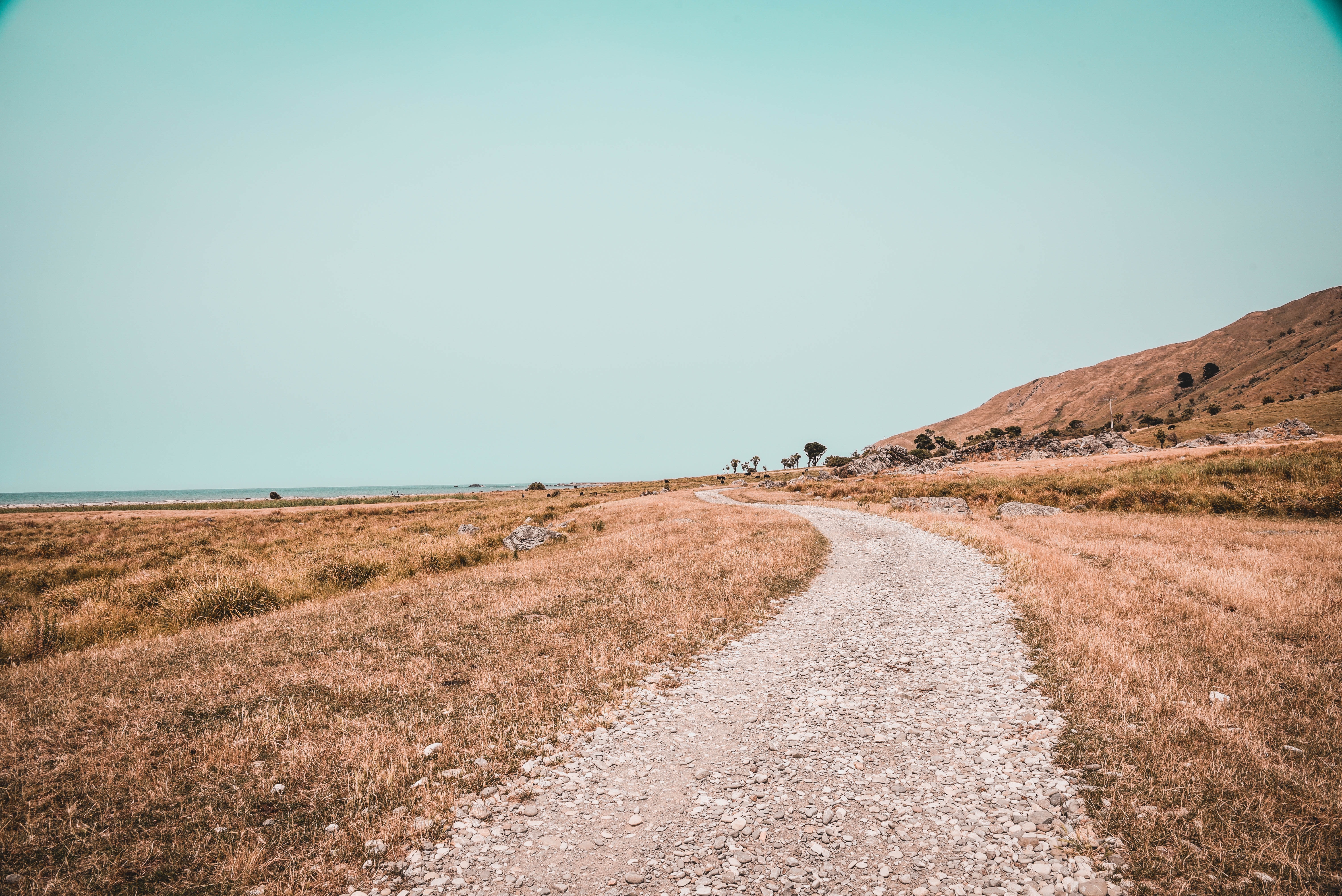 Photo by Zane Lee on Unsplash