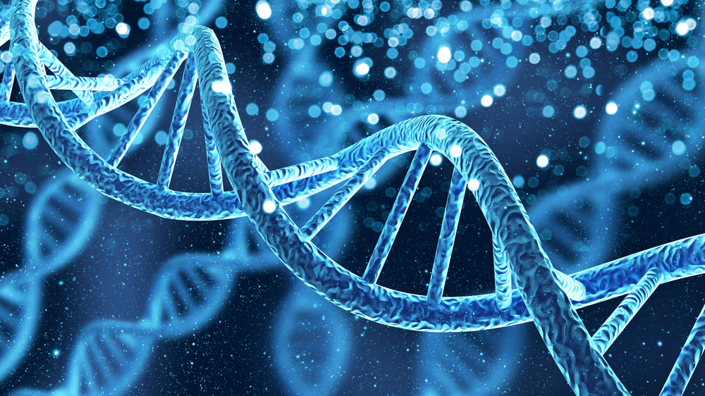 Genetic information. Shutterstock
