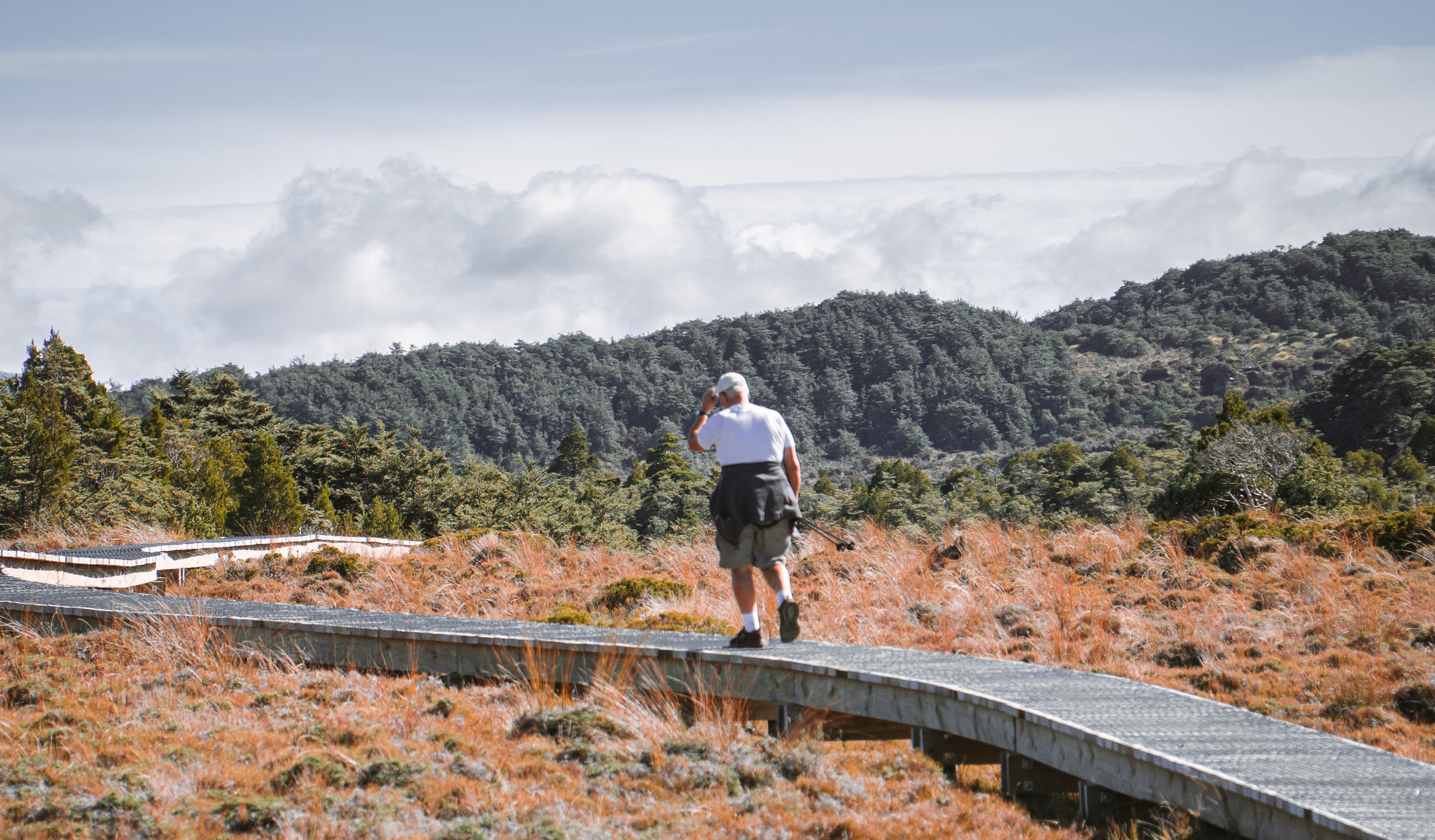 Photo by Olly Dow on Unsplash