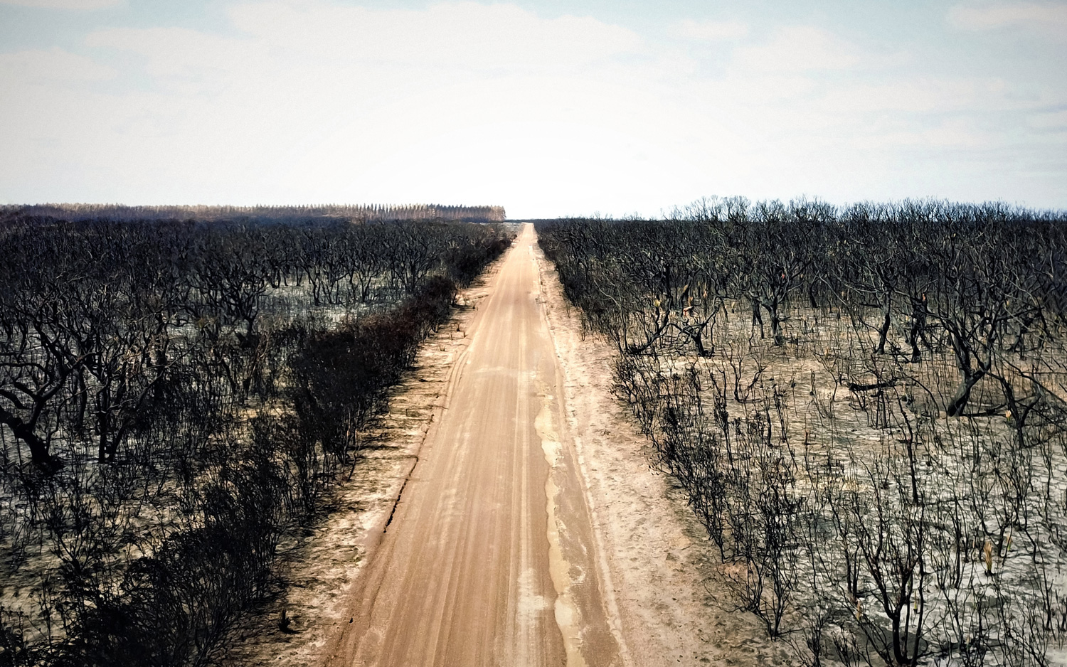 Photo by @chucka on Unsplash.