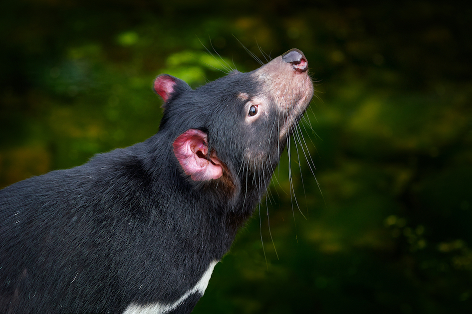 The devil’s in the detail (the chemical details, that is). Photo: Shutterstock.
