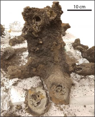 The main body or "trunk" of the studied fulgurite