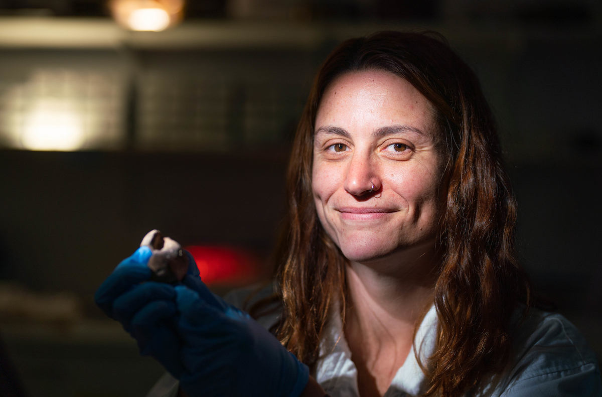 Dr Sofia Samper Carro with bones from Alor Island, Indonesia. Photo: Tracey Nearmy/ANU