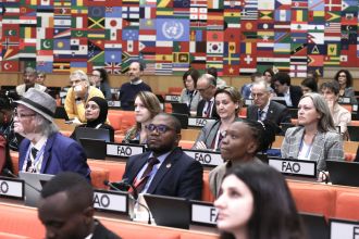  November 2023, Antimicrobial Resistance (AMR) Assembly