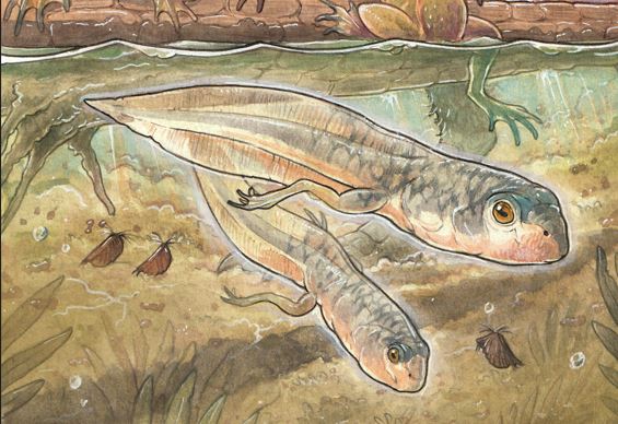 Credit: Gabriel Lío