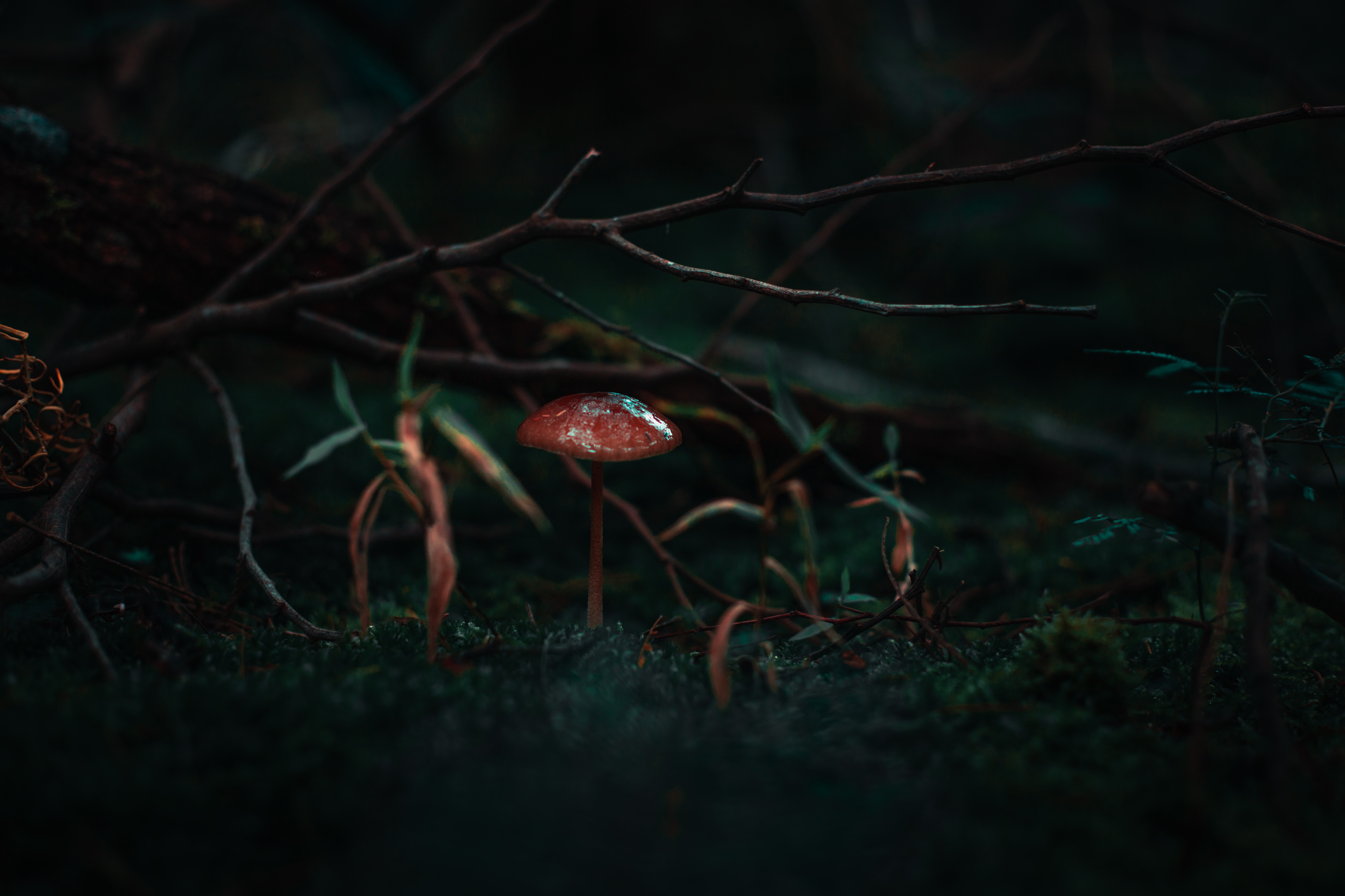 Photo by Ahmed Zayan on Unsplash