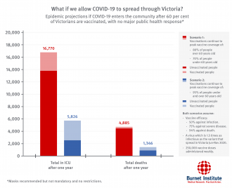 An interpretation of the COVASIM modelling: impact of vaccines on epidemic 