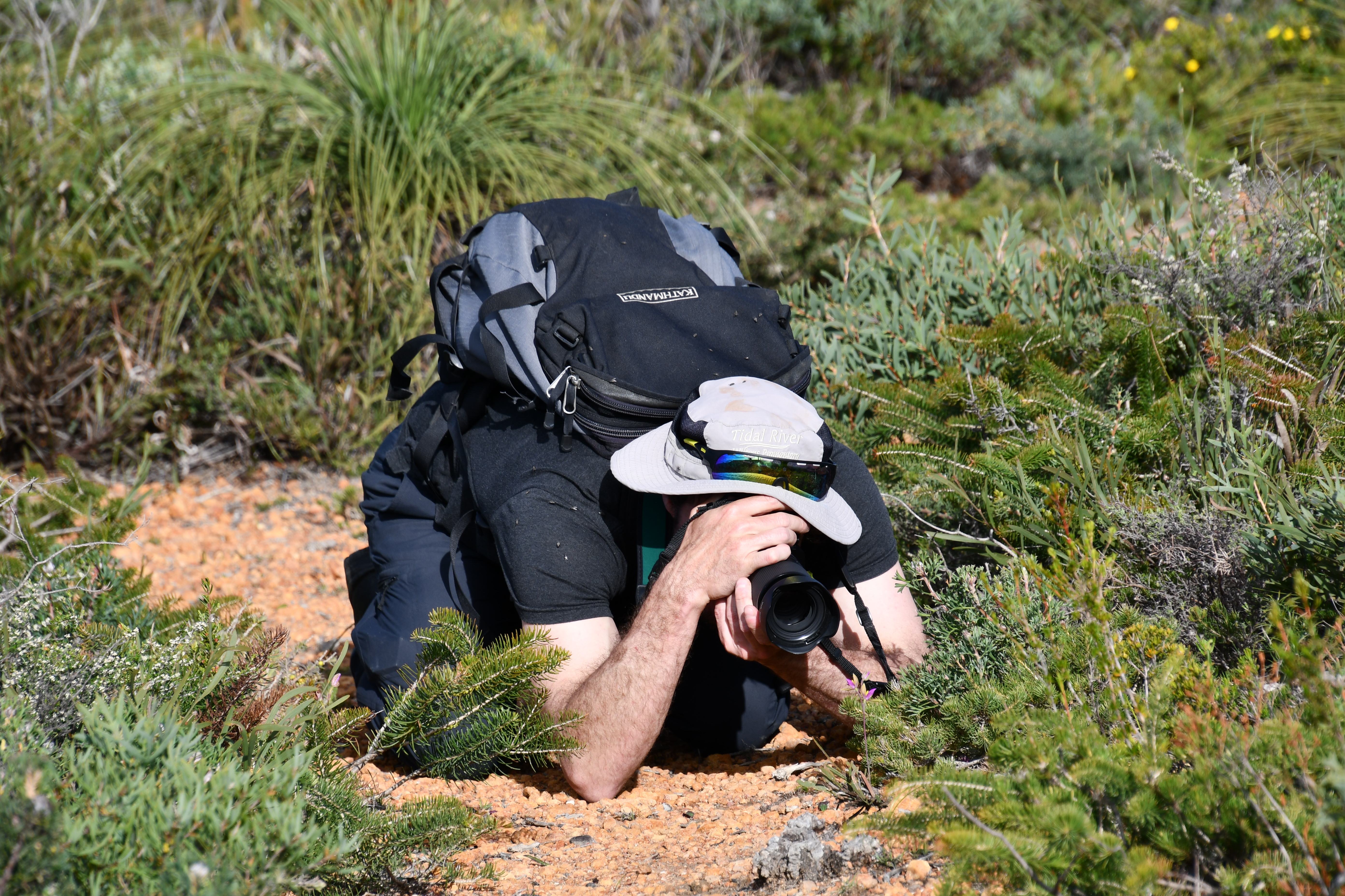 Photo: Thomas Mesaglio