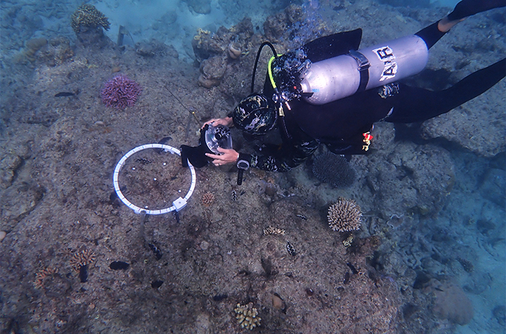 Macrophotogrammetry setup at Lizard Island 2022 with diver Marine Gouezo_credit CSIRO Lauren Hardiman