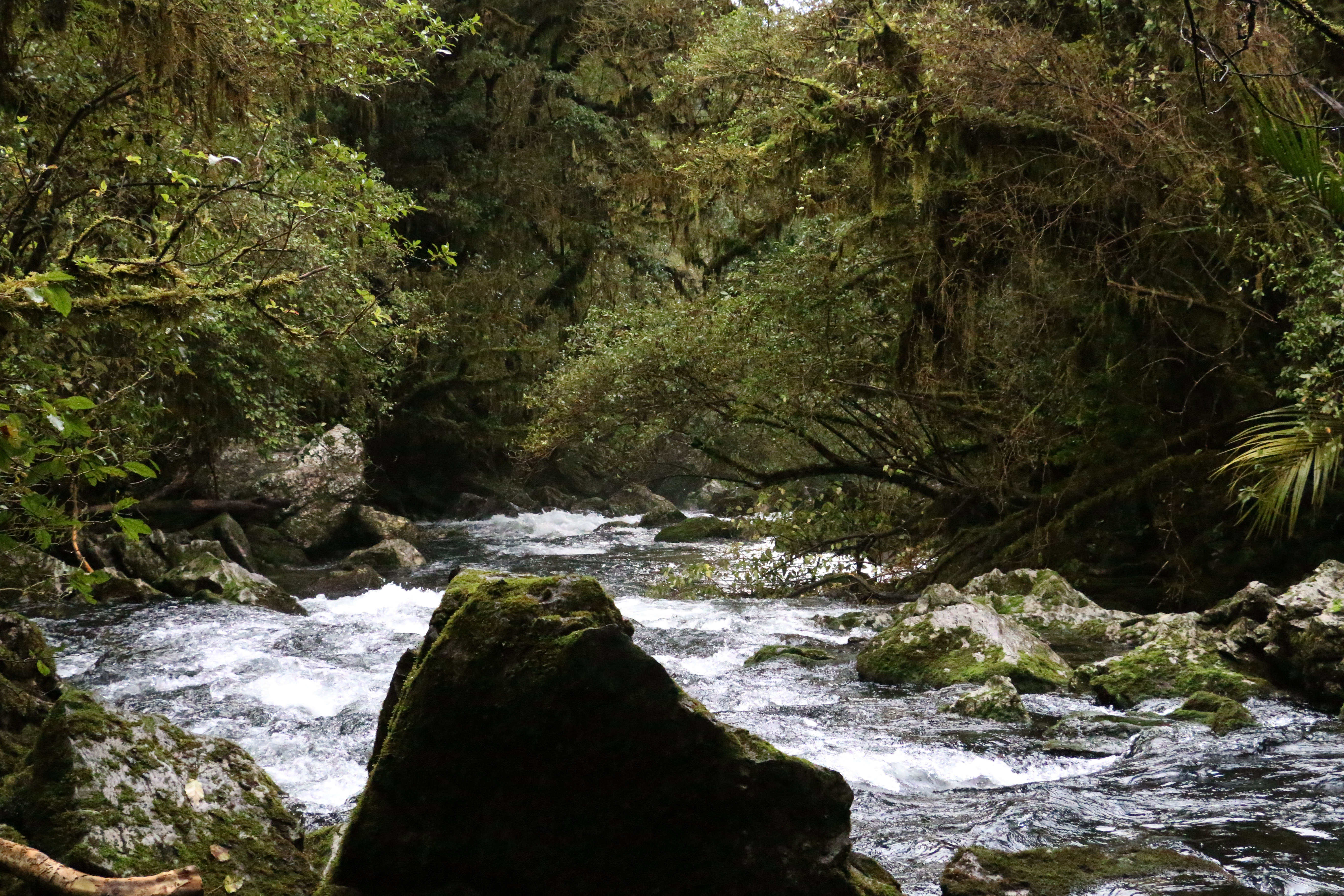 Te Puna o Riuwaka. PHOTO: Moana Johnsen