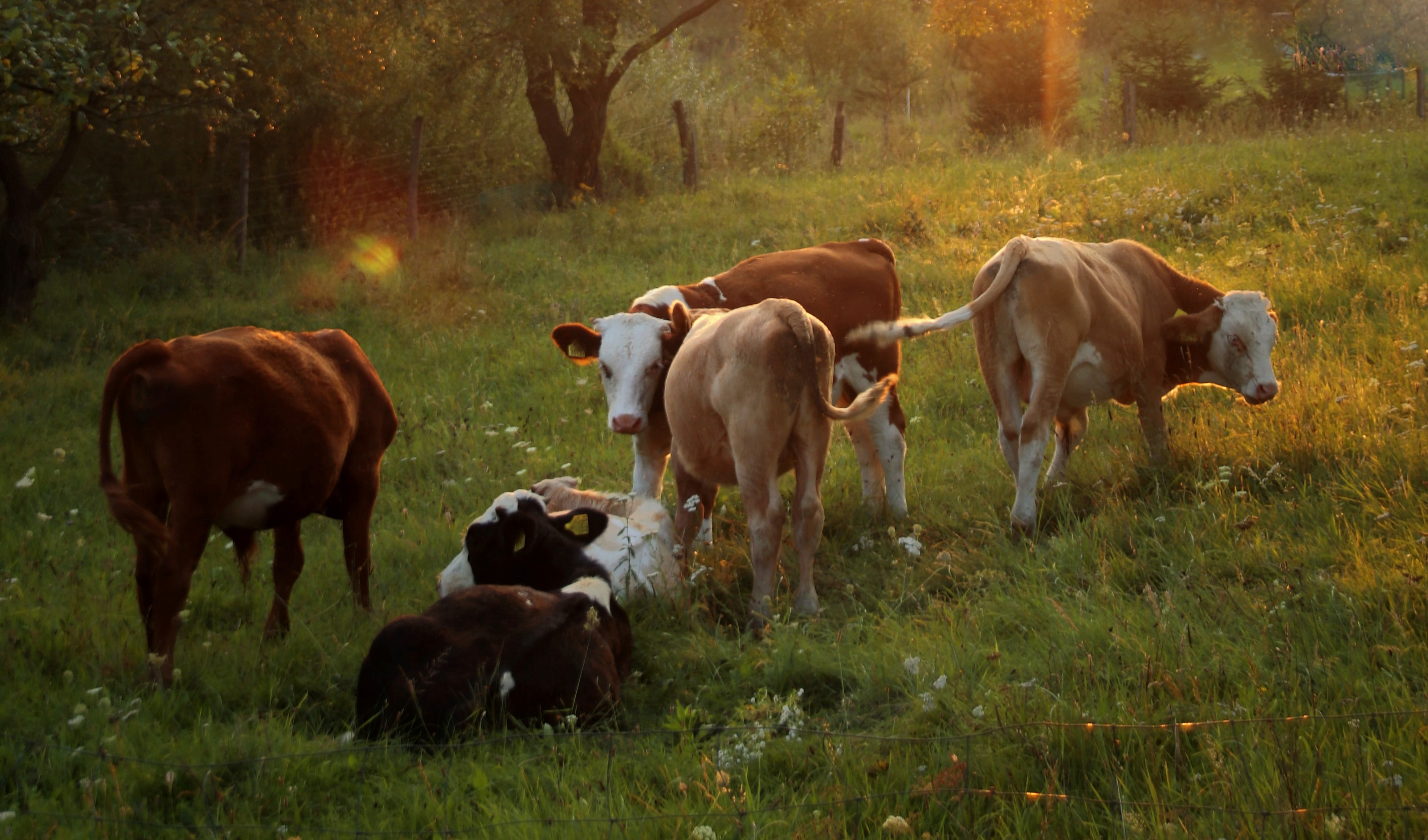 Photo by Iga Palacz on Unsplash