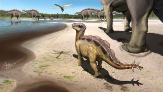 Artist's impression
