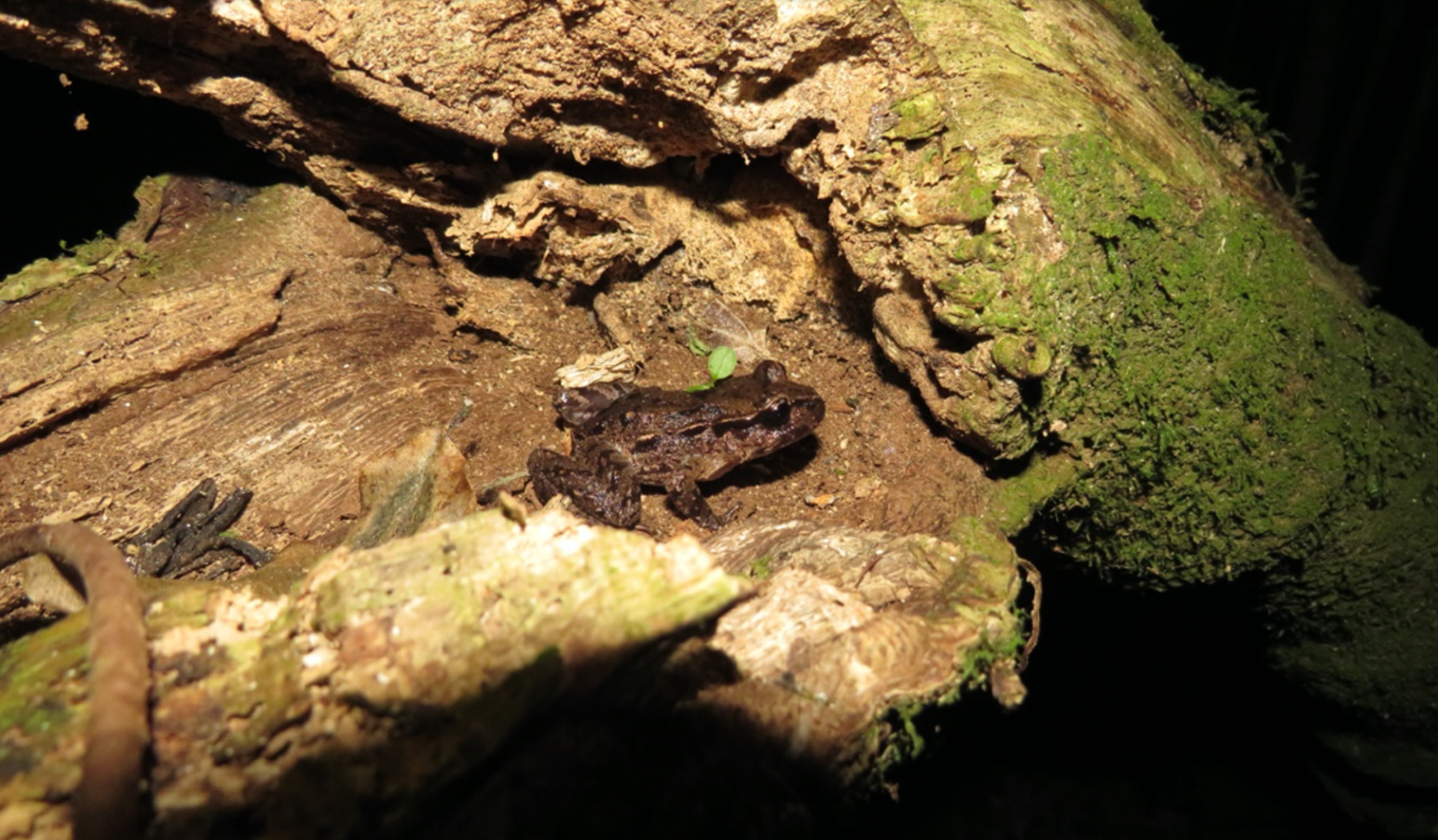 Photo: Joseph Altobelli