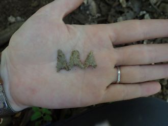 Collection of Maros points.