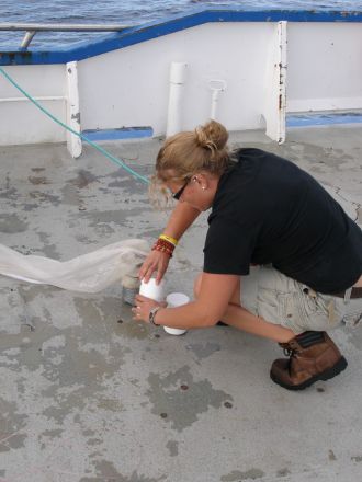  Professor Sophie Leterme