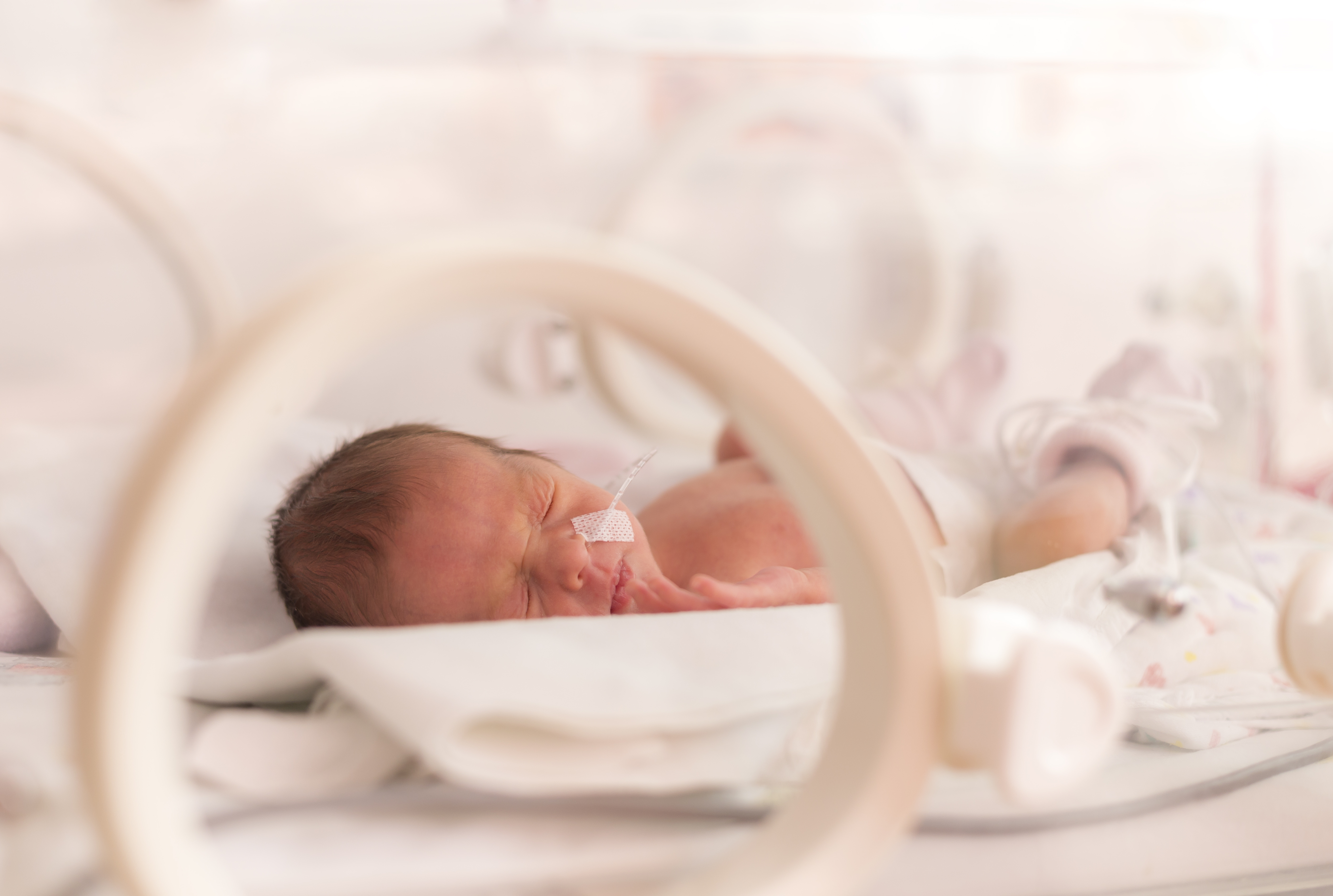Traditional vegetable diet lowers the risk of premature babies