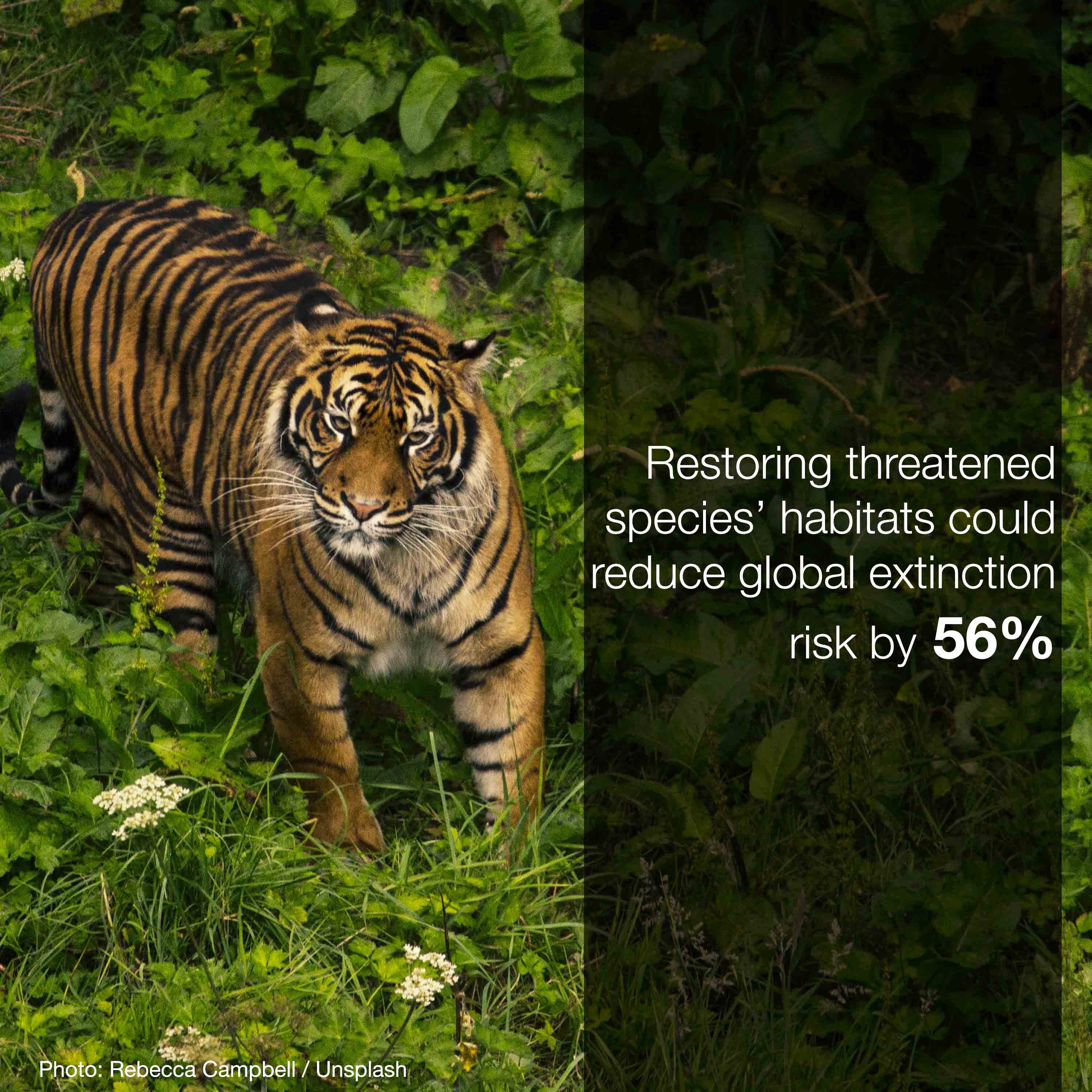 Provided in global media kit at https://www.dropbox.com/sh/aggq7em5zqoa1px/AABVN55zz8Y41_WHAMt_NBlYa?dl=0