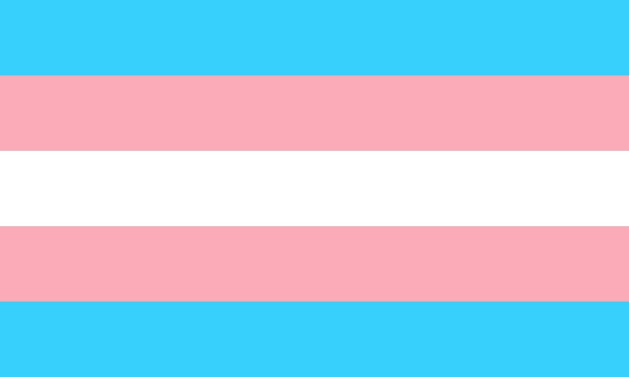 CC-0. https://pixabay.com/illustrations/trans-transgender-flag-pride-1792756/