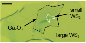 smaller WS2 layer on top of larger WS2 layer