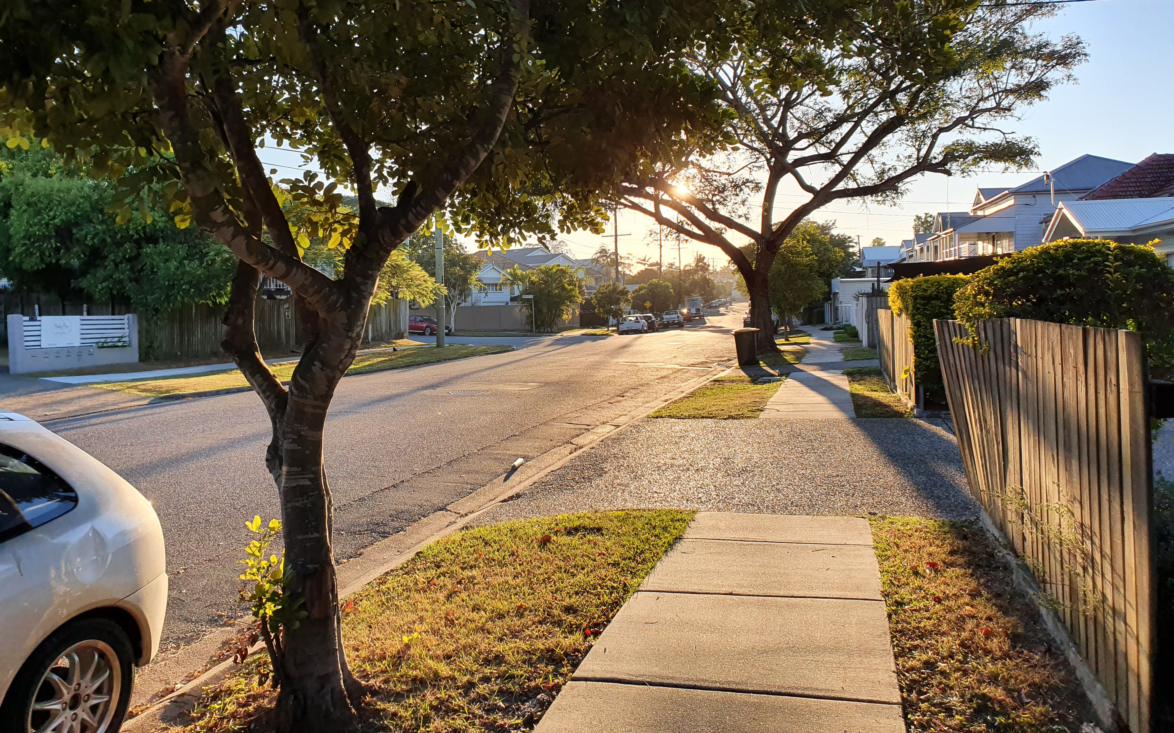 Researchers are calling for more trees to be planted in low-income suburbs across Brisbane. Image: supplied.