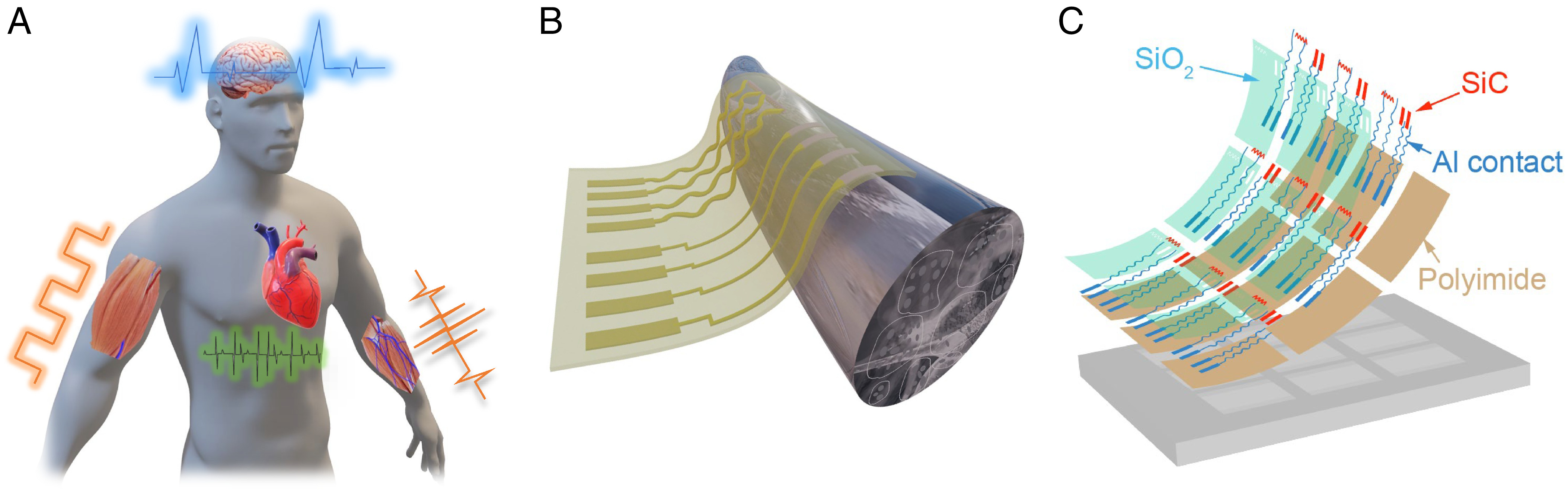 Credit: Tuan-Khoa Nguyen