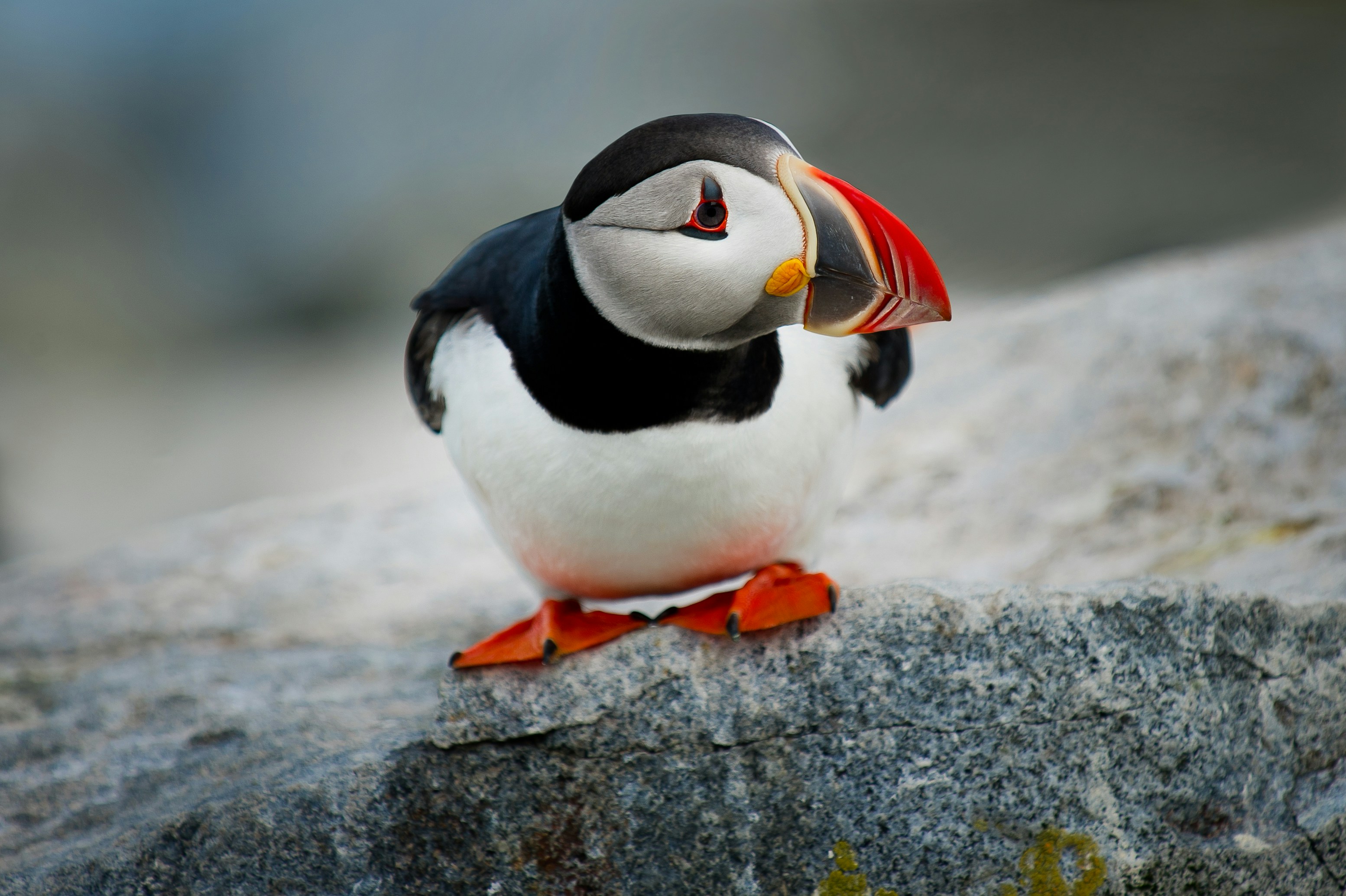 Photo by Ray Hennessy on Unsplash