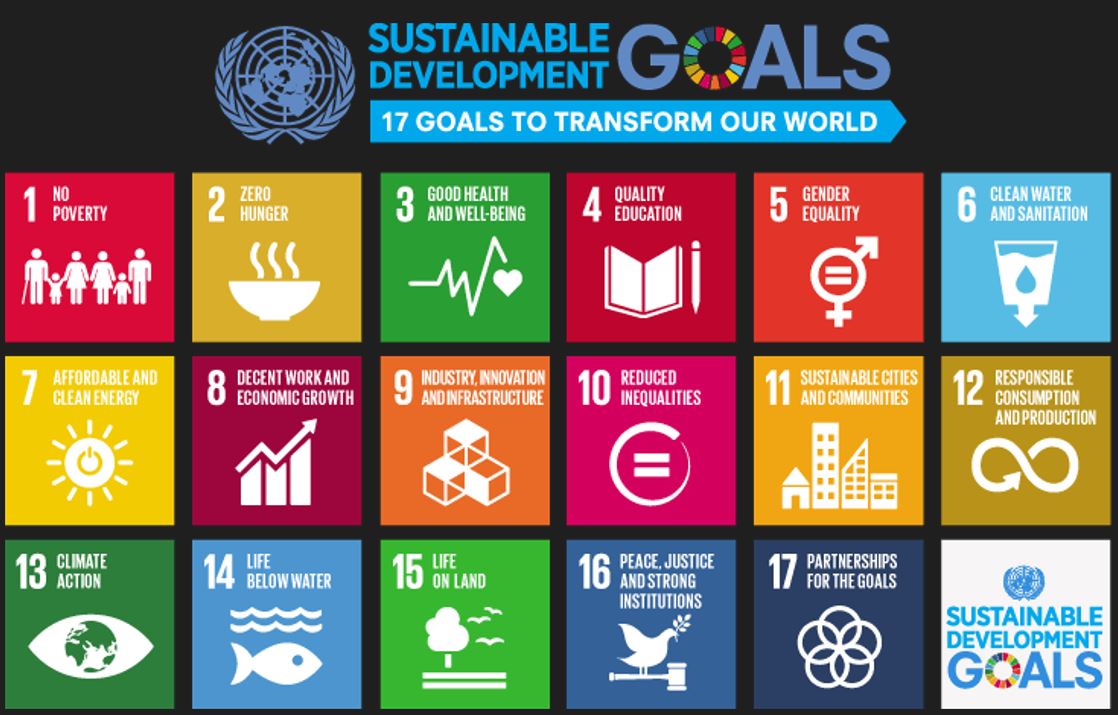 UN Sustainable Development Goals credit UN https://www.un.org/sustainabledevelopment/