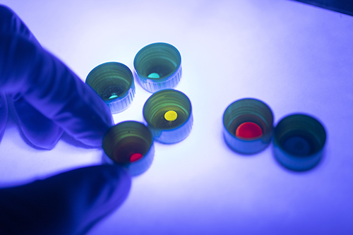 The University of Queensland 