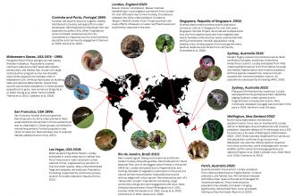 Urban rewilding