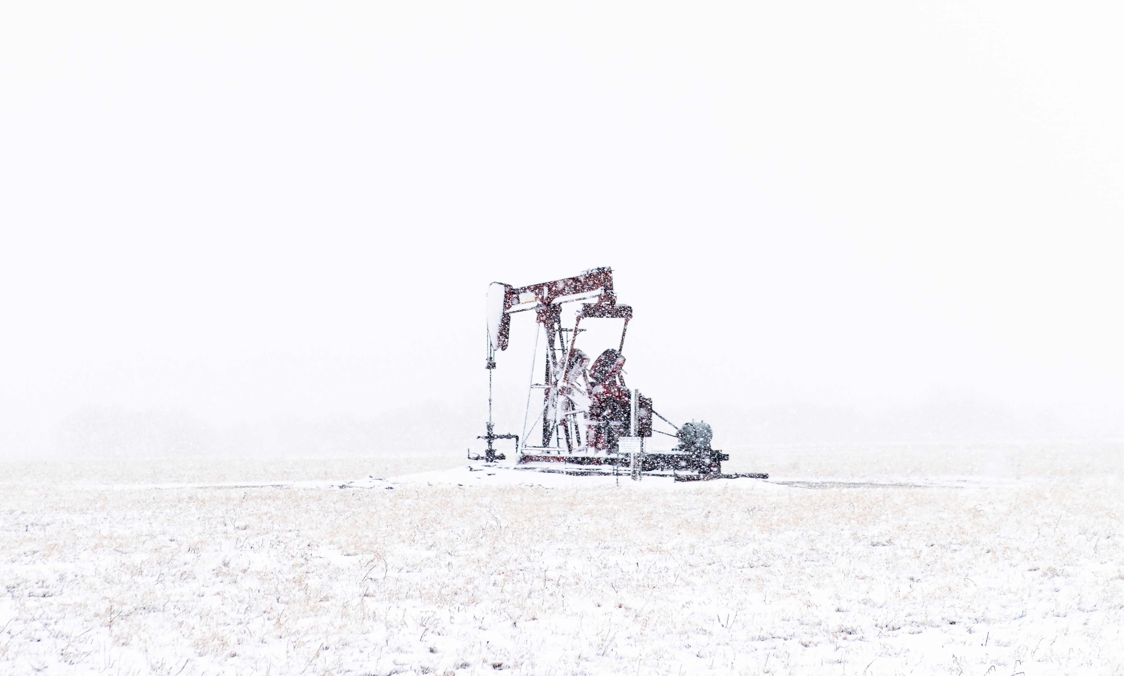 Photo by Josh Redd on Unsplash