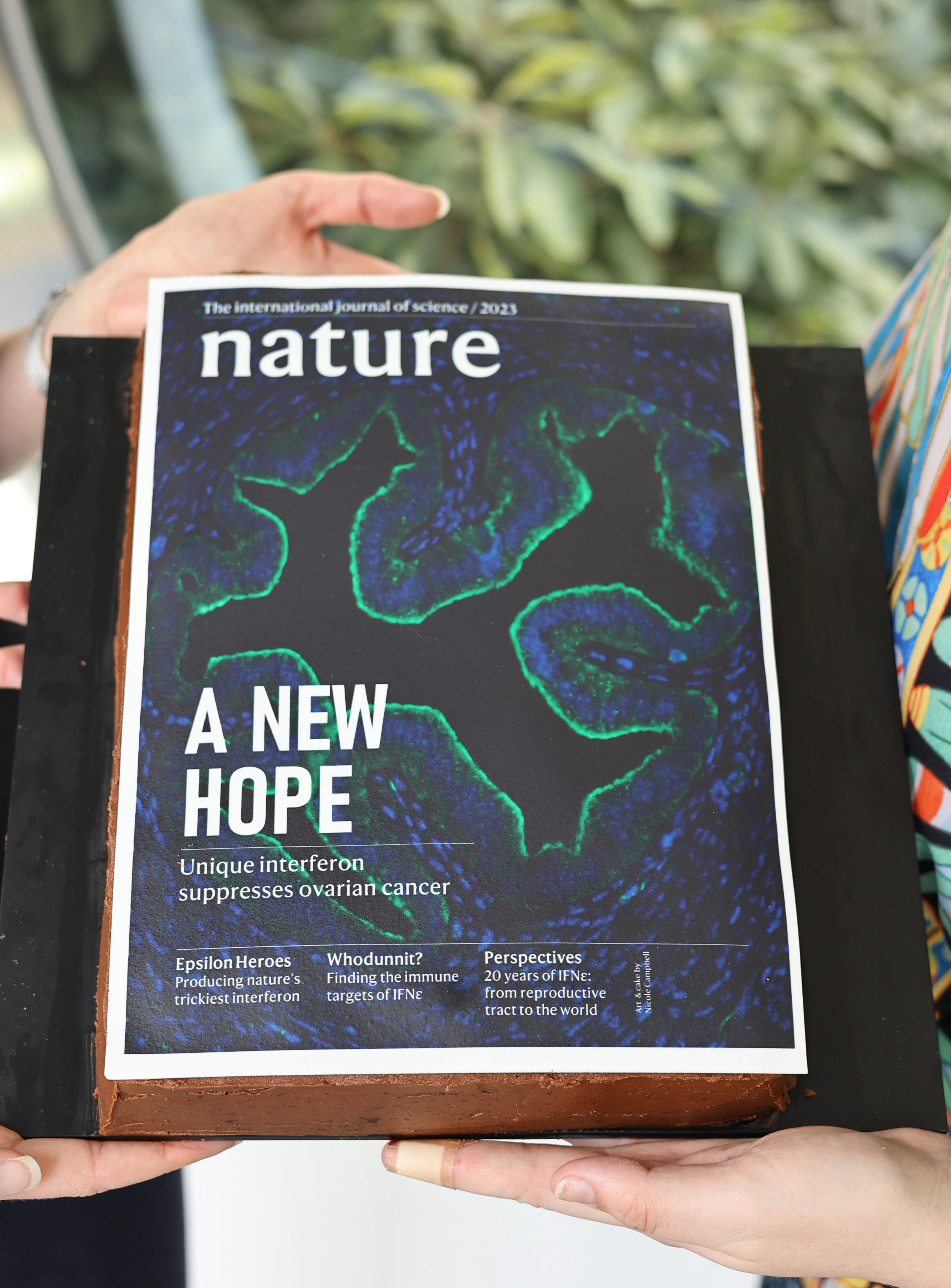 Hudson Institute of Medical Research