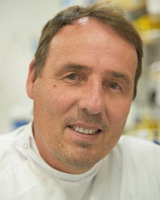 Professor Ernst Wolvetang headshot 