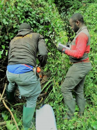 Forest fieldwork in Tanzania 
