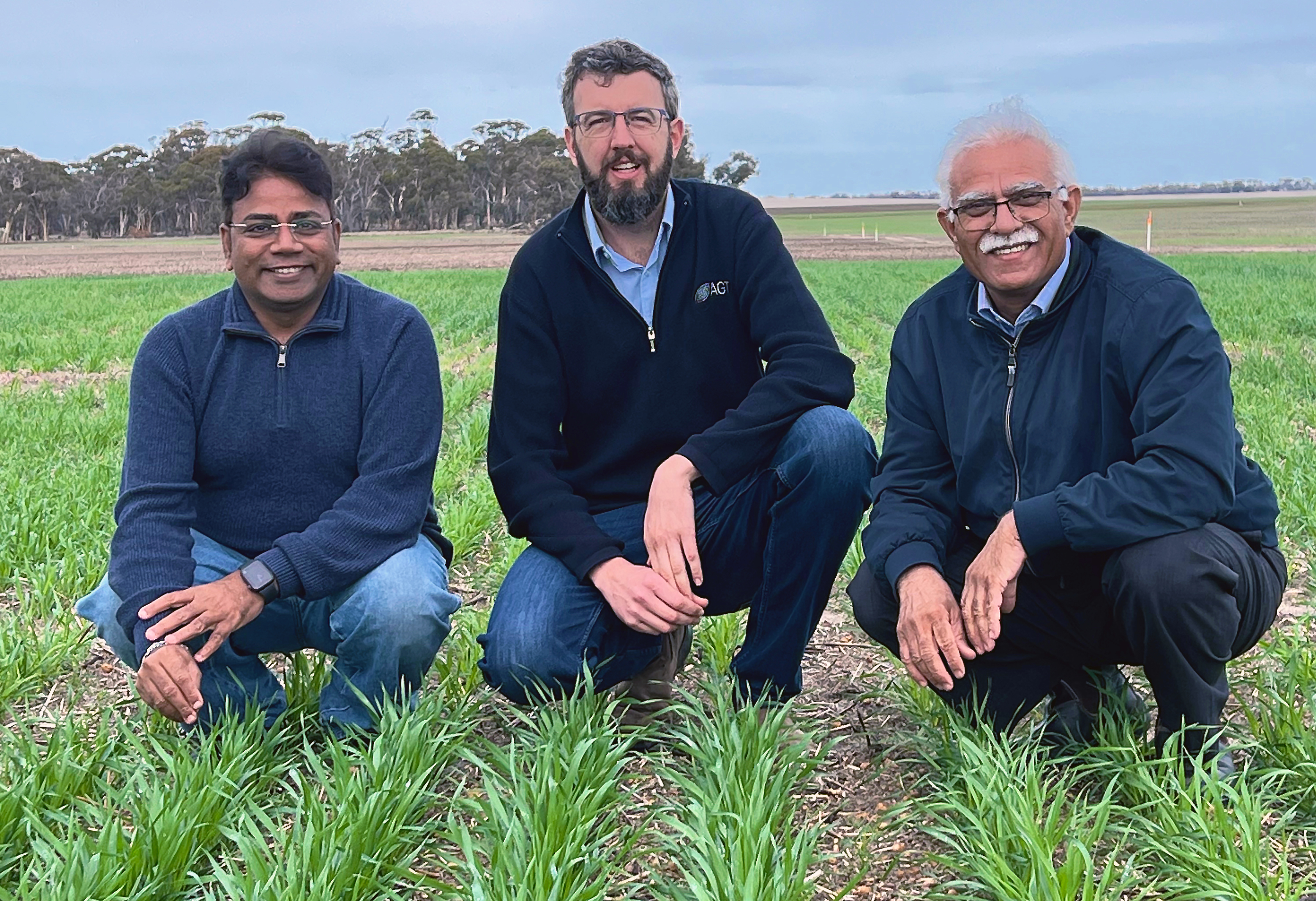 (L-R) WAARC Wheat Nitrogen Use Efficiency (WNUE) Project Lead and Director of Murdoch University’s Centre for Crop and Food Innovation (CCFI) Professor Rajeev Varshney, Australian Grain Technologies (AGT) Wheat Breeder Dr Dion Bennett, and DPIRD Portfolio Manager Genetic Improvement Dr Darshan Sharma, are inspecting the AGT field in Northam where the research trials are underway. Credit: CCFI