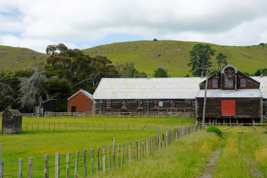 Maraekakaho Woolshed, Hawke's Bay - iTravel NZ - Flickr - https://www.flickr.com/photos/itravelnz/22887578106