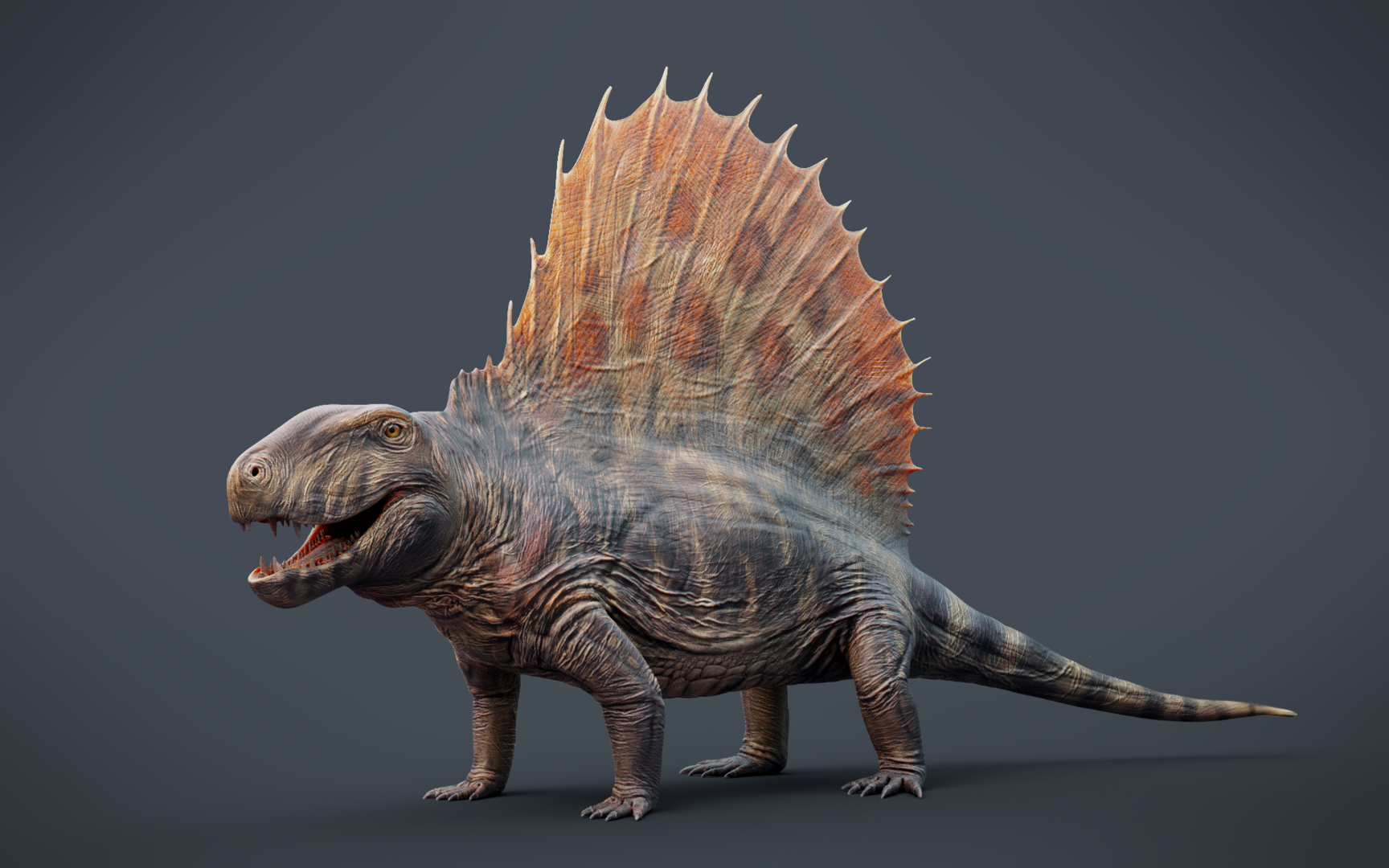 Credit: Max Bellomio